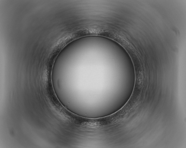 X0000113270639200909241544