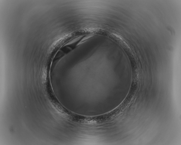 X0000113270640200909241544