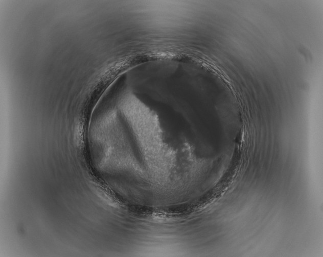 X0000113270641200909241544