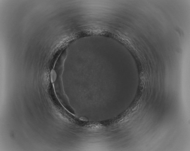 X0000113270642200909241544