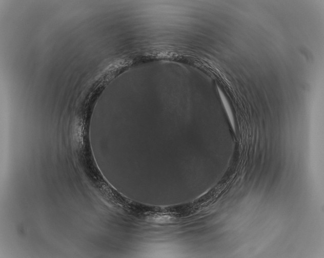 X0000113270643200909241544