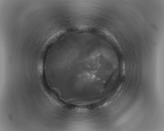 X0000113270644200909241544