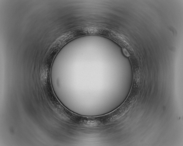 X0000113270645200909241544