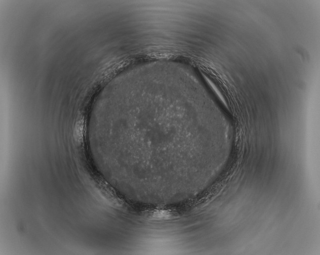 X0000113270647200909241544