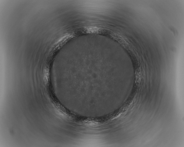 X0000113270648200909241544