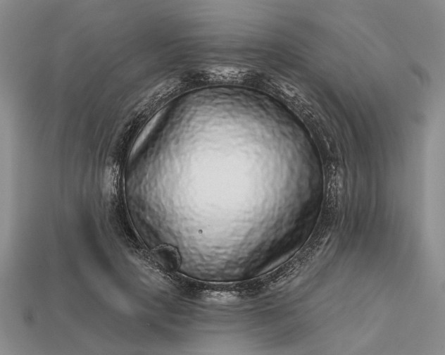 X0000113270649200909241544