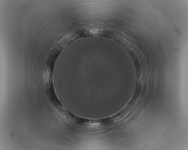 X0000113270651200909241544
