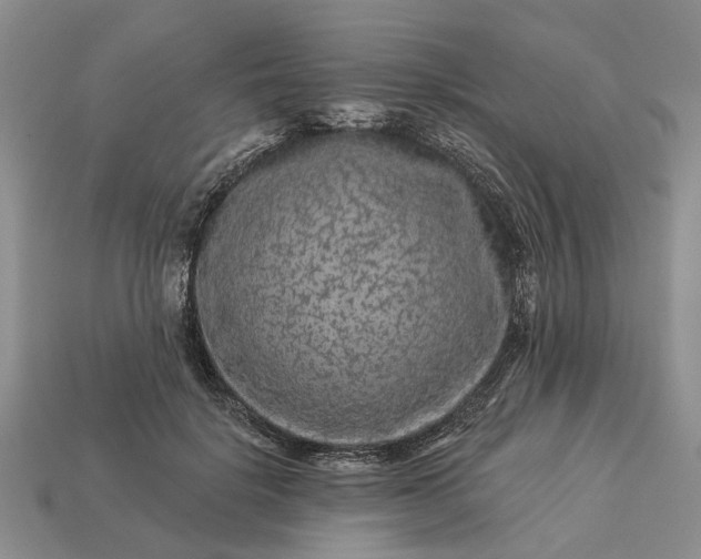 X0000113270652200909241544