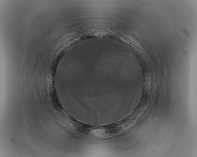 X0000113270653200909241544
