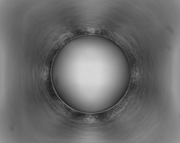 X0000113270656200909241544