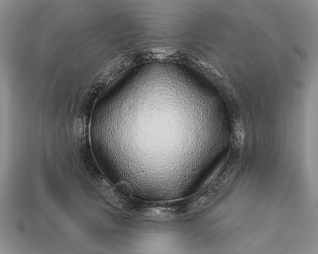 X0000113270657200909241544