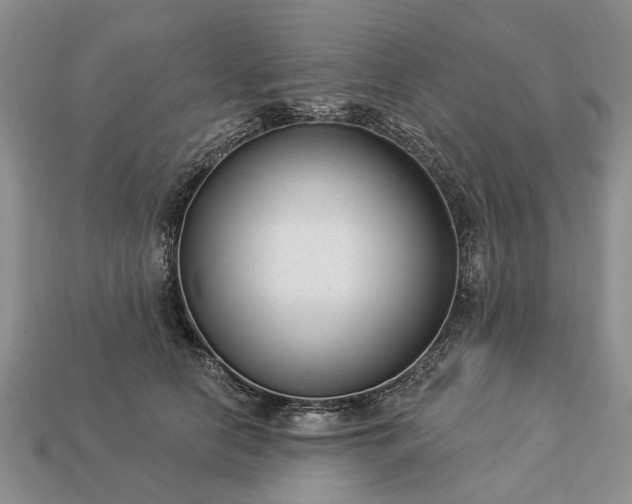 X0000113270658200909241544