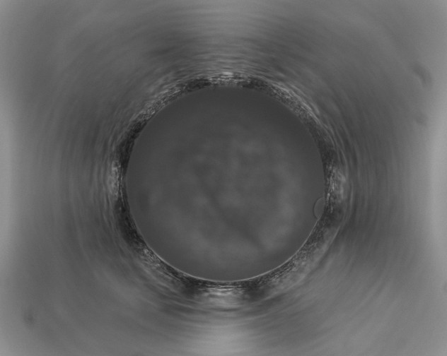 X0000113270659200909241544