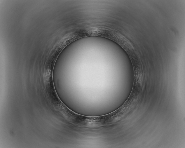 X0000113270660200909241544