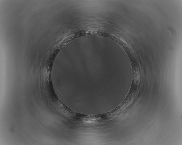 X0000113270661200909241544