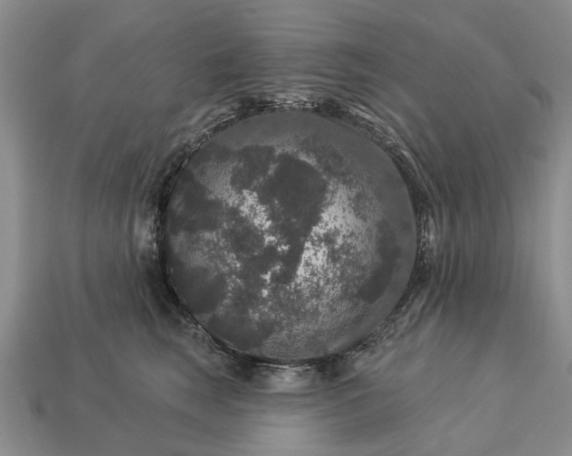 X0000113270663200909241544