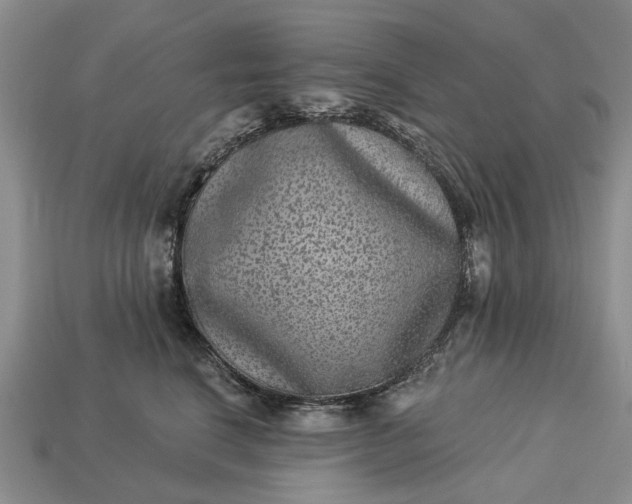 X0000113270664200909241544