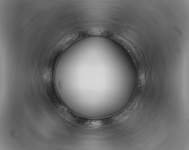 X0000113270665200909241544