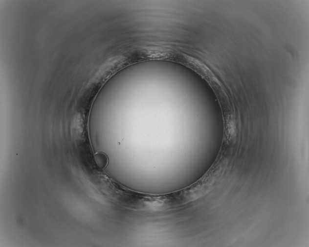 X0000113270667200909241544