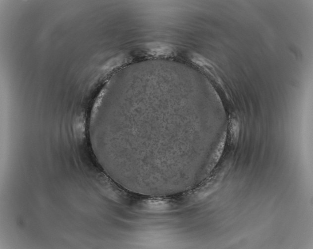 X0000113270668200909241544