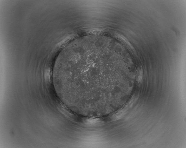 X0000113270669200909241544