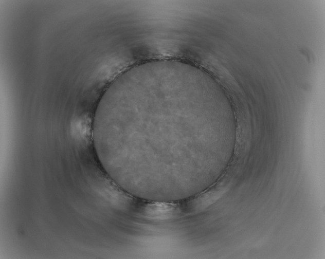 X0000113270672200909241544