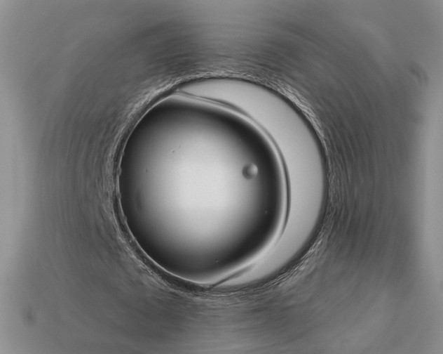 X0000113270673200909241544