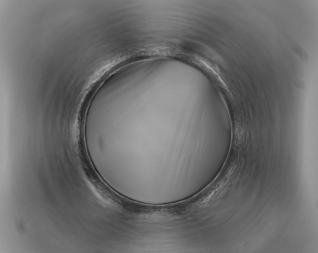 X0000113270674200909241544
