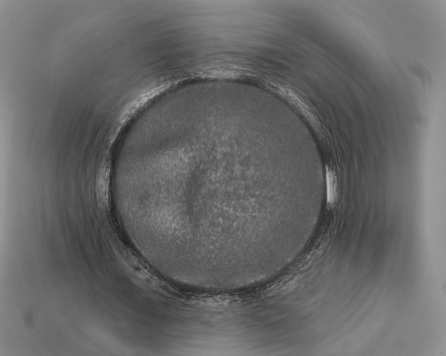 X0000113270675200909241544