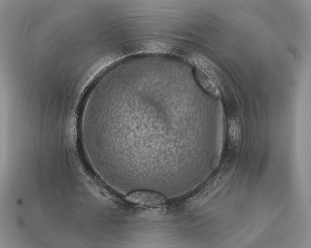 X0000113270676200909241543