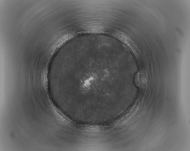 X0000113270677200909241543