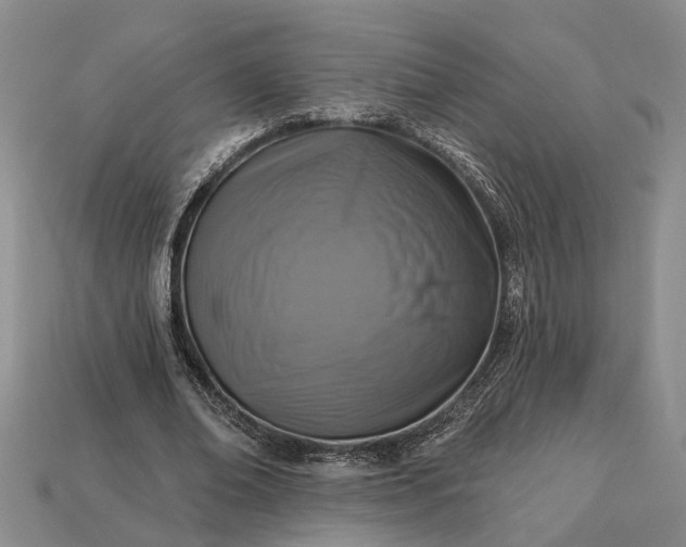 X0000113270678200909241543