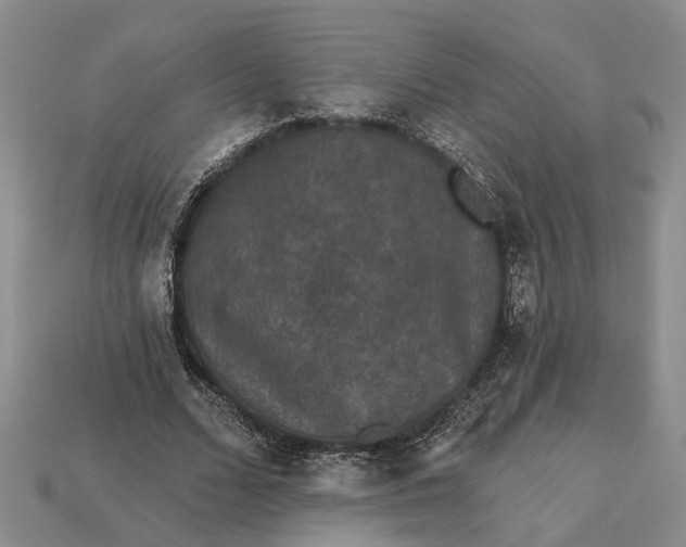 X0000113270680200909241543