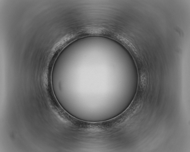 X0000113270682200909241543