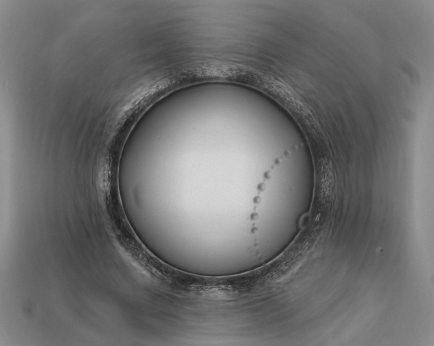 X0000113270683200909241543