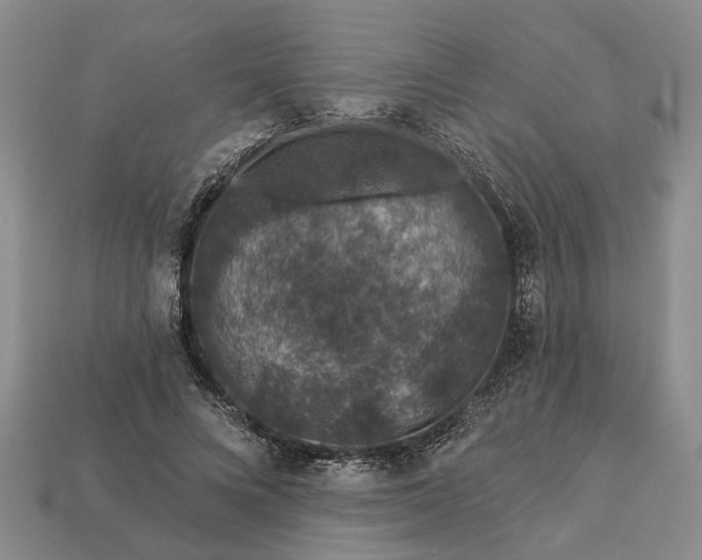 X0000113270688200909241543
