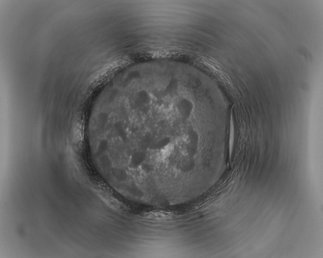 X0000113270691200909241543