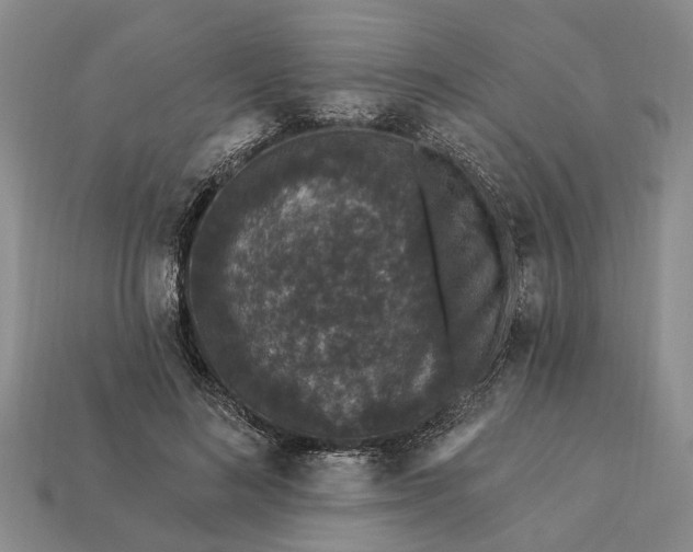 X0000113270692200909241543