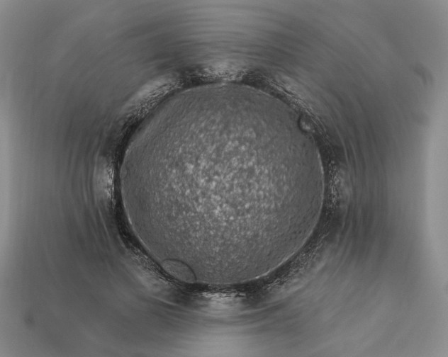 X0000113270693200909241543