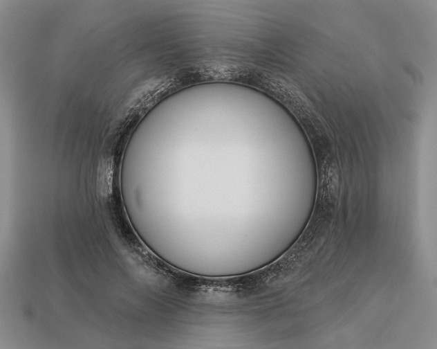 X0000113270694200909241543