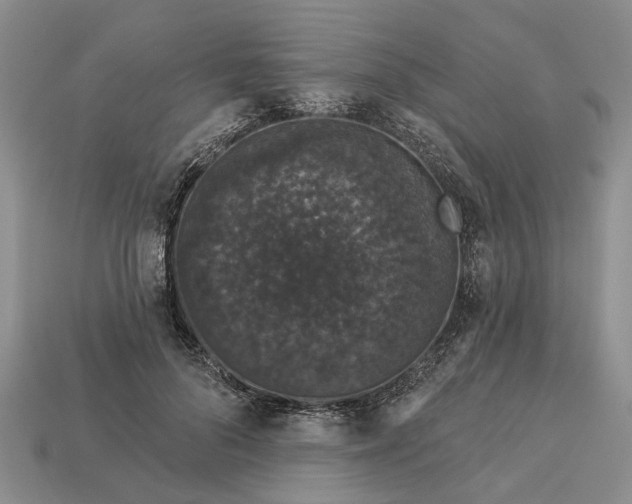 X0000113270696200909241543