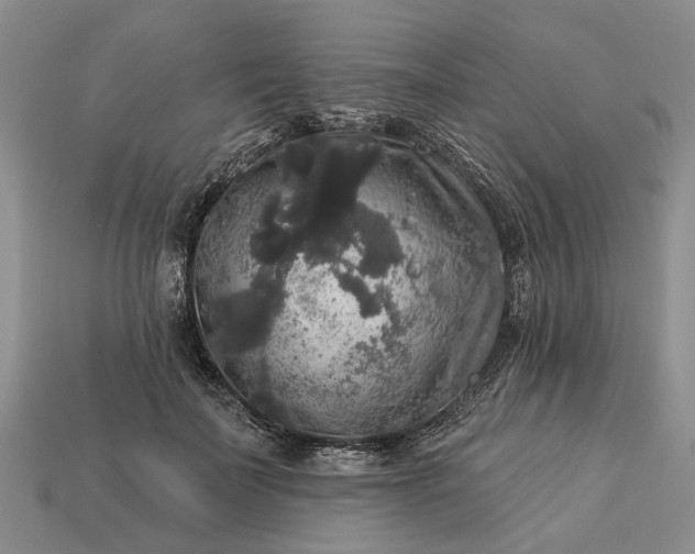 X0000113270699200909241543