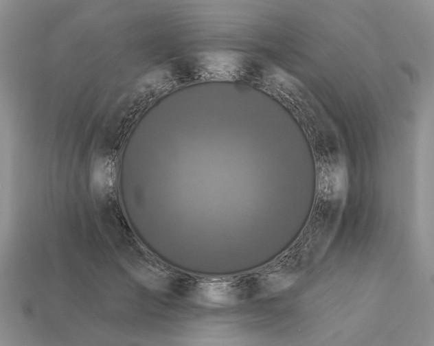 X0000113270701200909241543