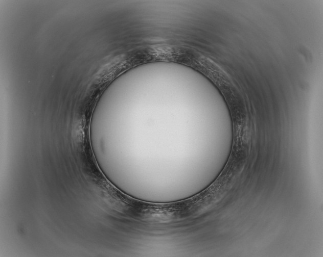 X0000113270702200909241543