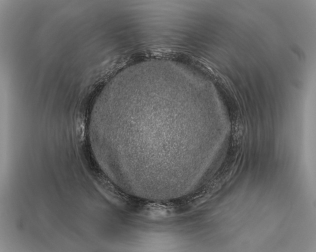 X0000113270703200909241543