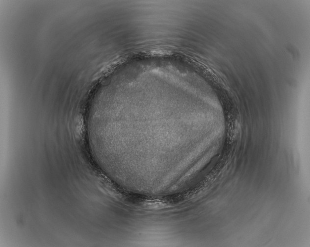 X0000113270704200909241543