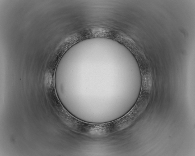 X0000113270705200909241543