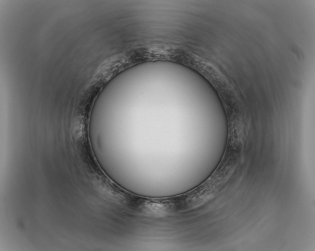 X0000113270706200909241543