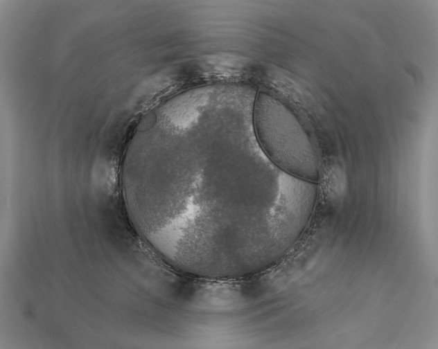X0000113270709200909241543
