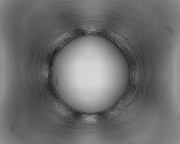 X0000113270710200909241543